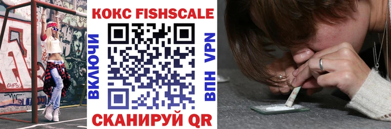 Кокаин Fish Scale  Купить закладки  Грязи 