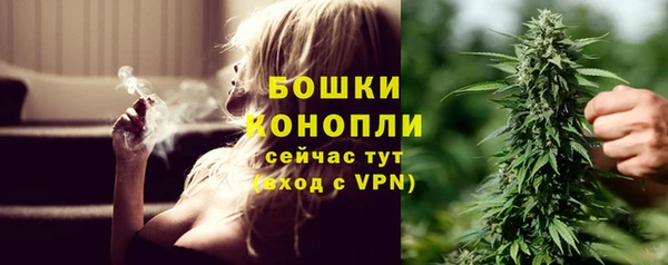 винт Ладушкин
