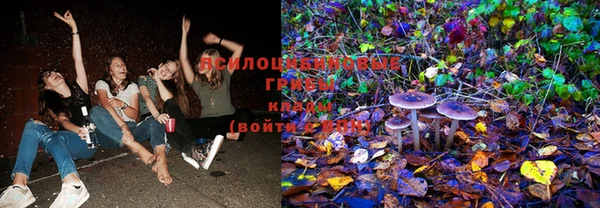 мдпв Лабытнанги