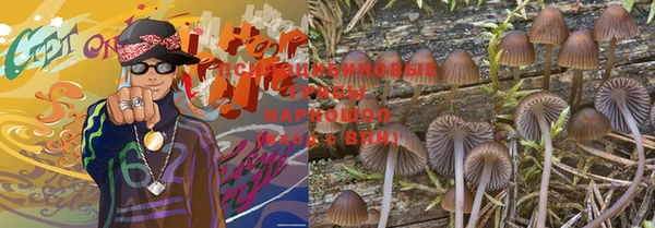 мдпв Лабытнанги