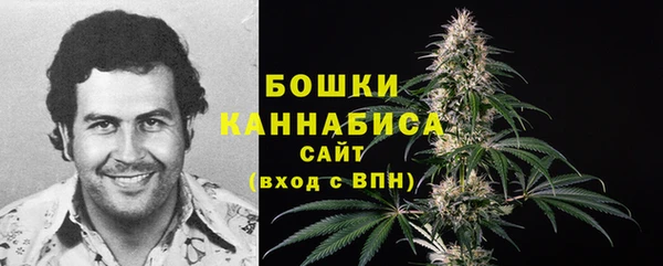 мдпв Лабытнанги
