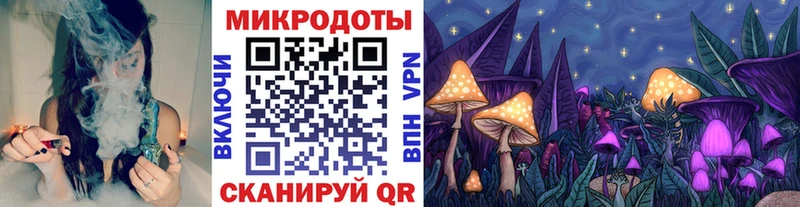 Купить закладки Грязи Галлюциногенные грибы Psilocybe